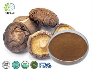 Ekstrakt Shiitake gobe