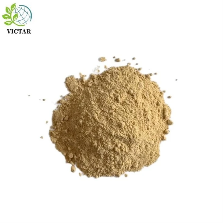 Alisma v prahu