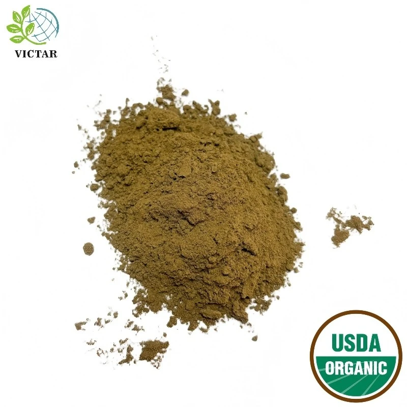 Organski origano v prahu
